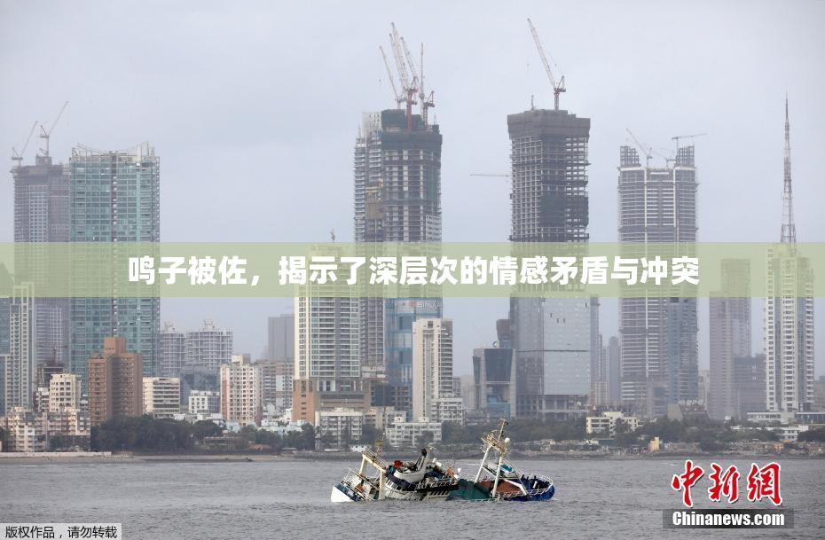 鸣子被佐，揭示了深层次的情感矛盾与冲突