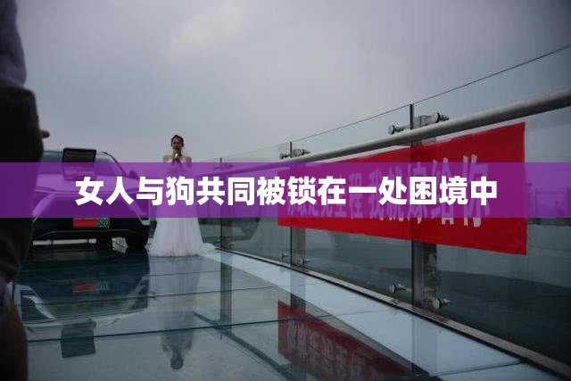 女人与狗共同被锁在一处困境中