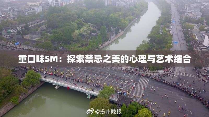 重口味SM：探索禁忌之美的心理与艺术结合