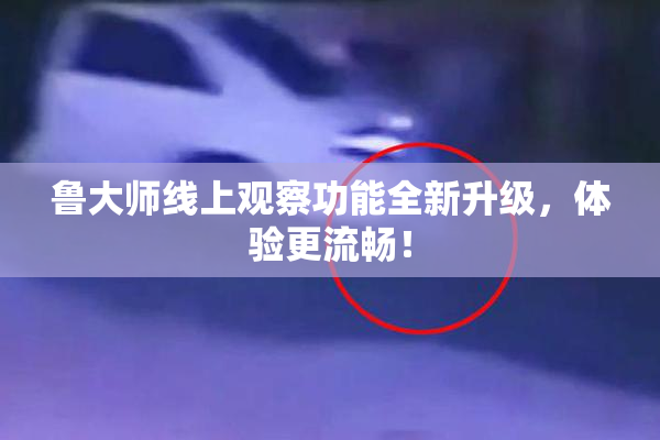 鲁大师线上观察功能全新升级，体验更流畅！