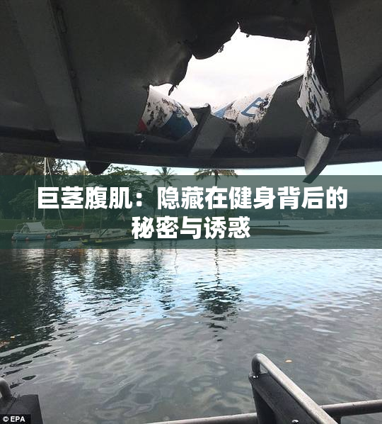 巨茎腹肌：隐藏在健身背后的秘密与诱惑