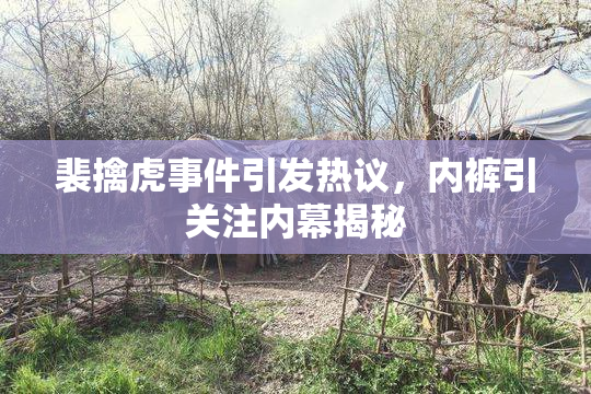 裴擒虎事件引发热议，内裤引关注内幕揭秘