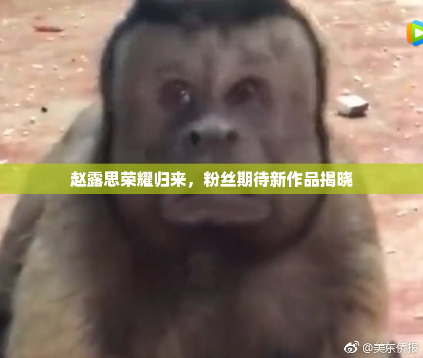 赵露思荣耀归来，粉丝期待新作品揭晓