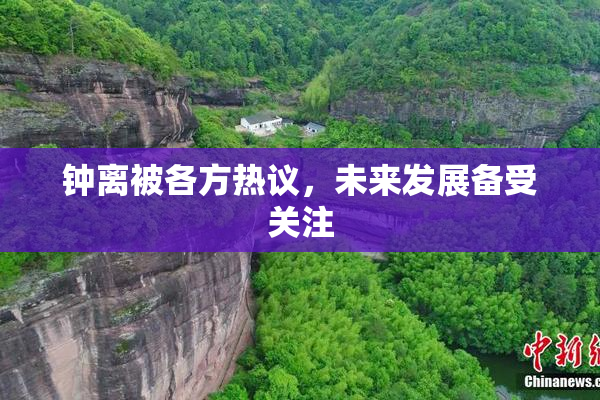 钟离被各方热议，未来发展备受关注
