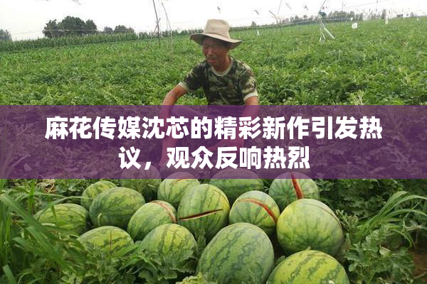 麻花传媒沈芯的精彩新作引发热议，观众反响热烈