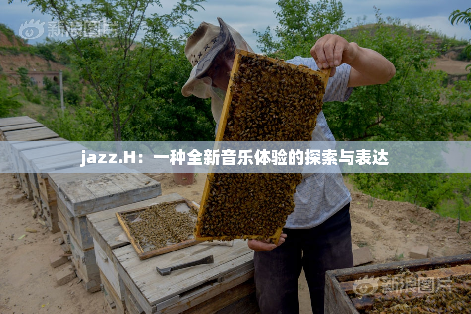 jazz.H：一种全新音乐体验的探索与表达