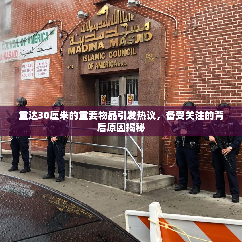 重达30厘米的重要物品引发热议，备受关注的背后原因揭秘