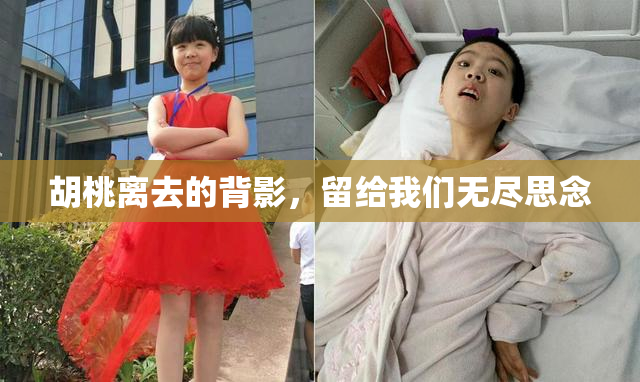 胡桃离去的背影，留给我们无尽思念