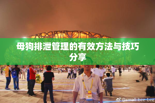 母狗排泄管理的有效方法与技巧分享