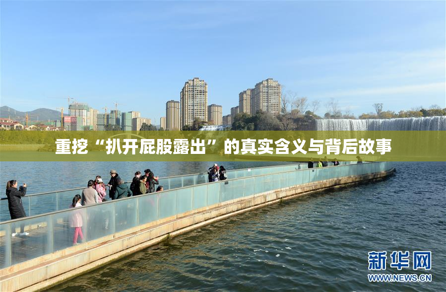 重挖“扒开屁股露出”的真实含义与背后故事