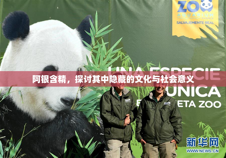 阿银含精，探讨其中隐藏的文化与社会意义