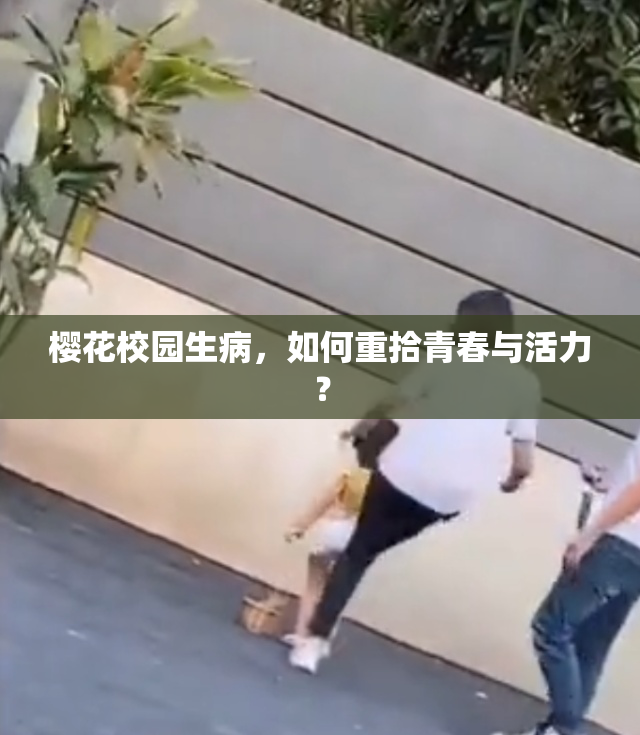 樱花校园生病，如何重拾青春与活力？