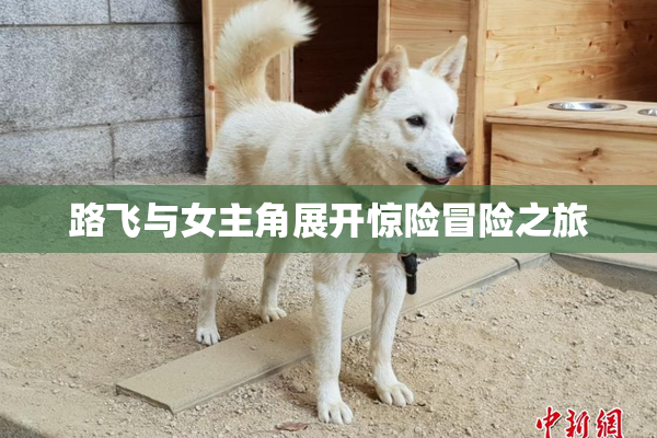 路飞与女主角展开惊险冒险之旅